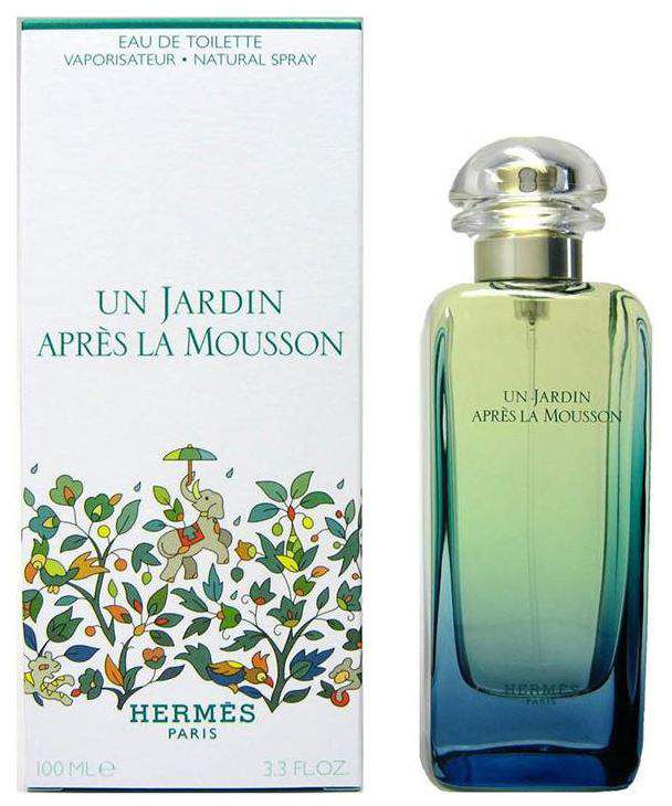 Hermes Un Jardin Apres la Mousson