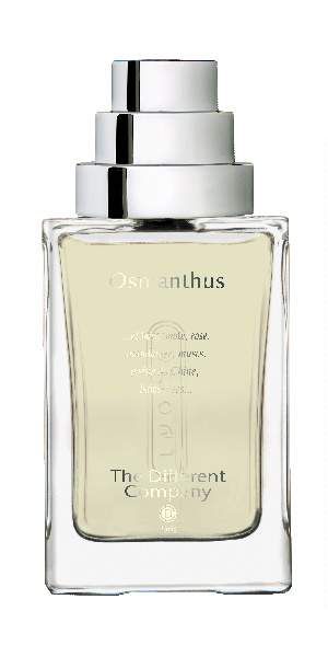 The Different Company Osmanthus